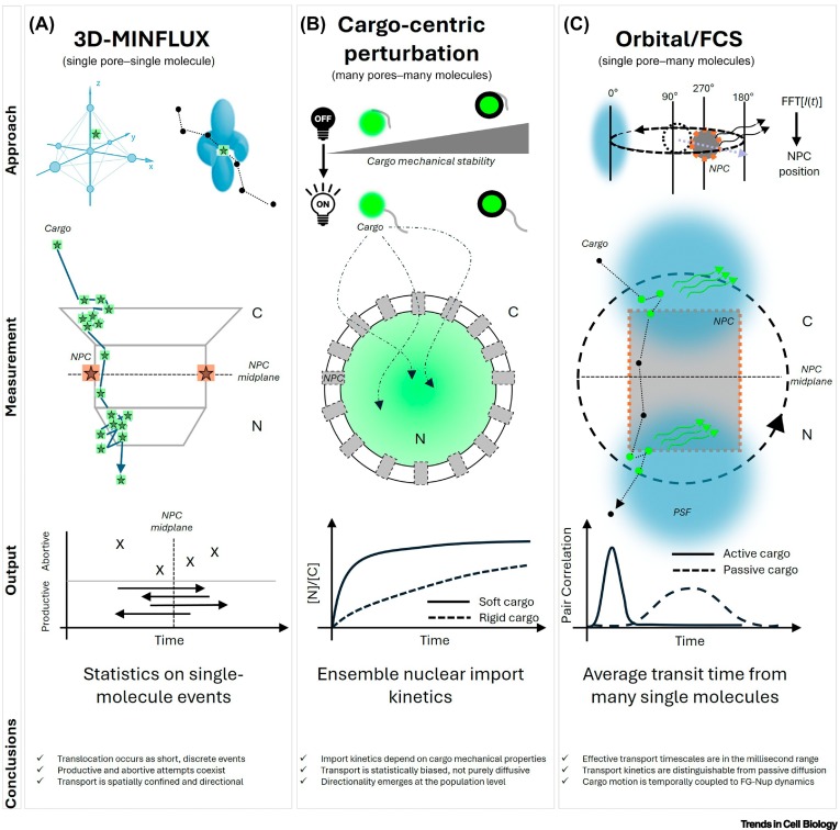 Trends Cell Biology tweet media