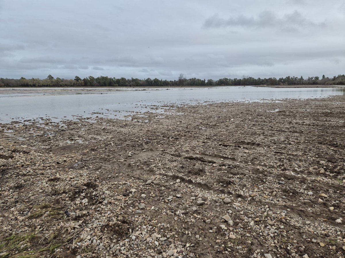 Ministerio de Agricultura, Pesca y Alimentación tweet media