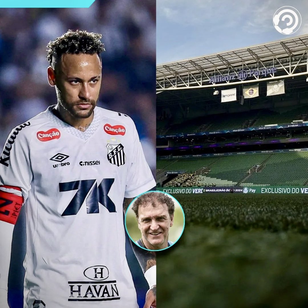 Palmeiras da Depressão tweet media