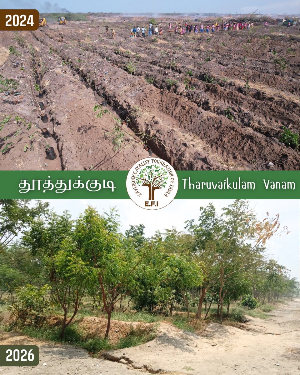 Arun Krishnamurthy tweet media