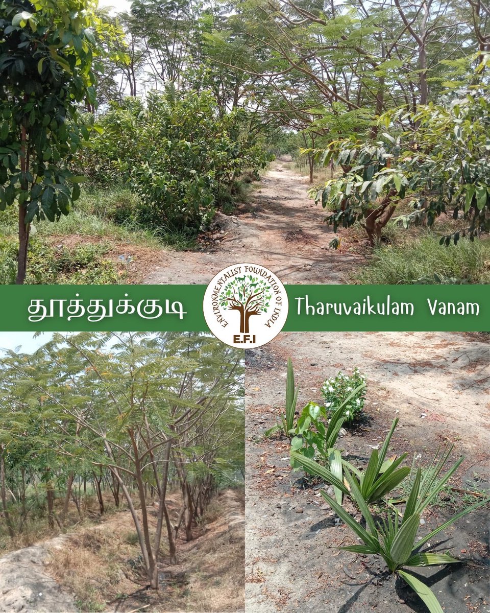 Arun Krishnamurthy tweet media