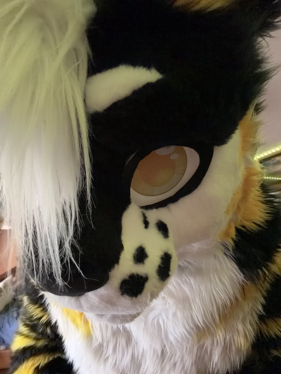 Donz🟡⚫️🐯🔜AO, AC tweet media