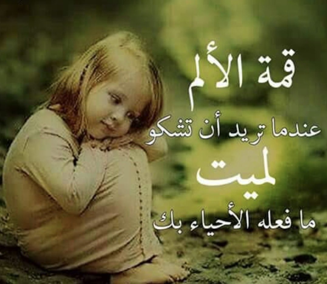 فهد tweet media