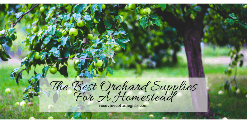 RosevineCottage's tweet photo. Find the best orchard supplies for a back yard orchard #orchard #homestead #orchardsupplies https://t.co/xAHbG9Kckv via @@RosevineCottage #orchard #homestead #garden

# https://t.co/6nscVdXKsZ