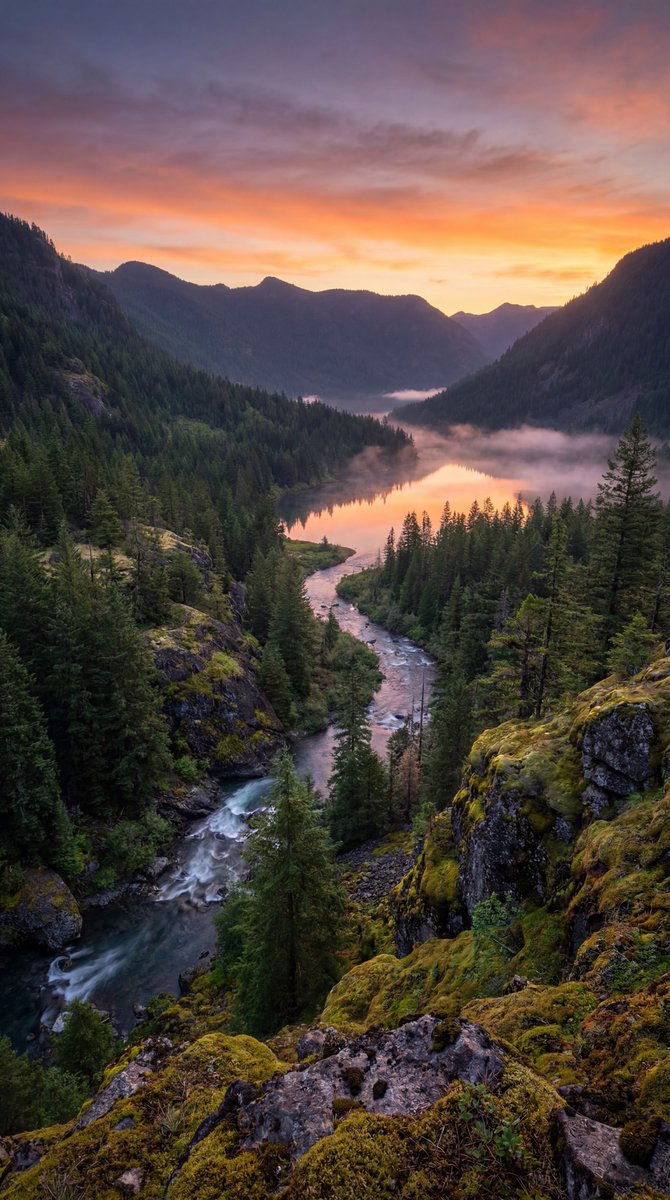 xnaturedaily tweet media