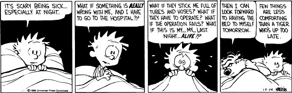 Calvin and Hobbes Daily tweet media