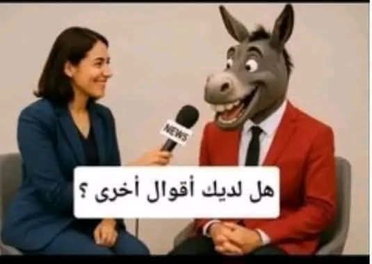 Mahmoud Mostafa tweet media
