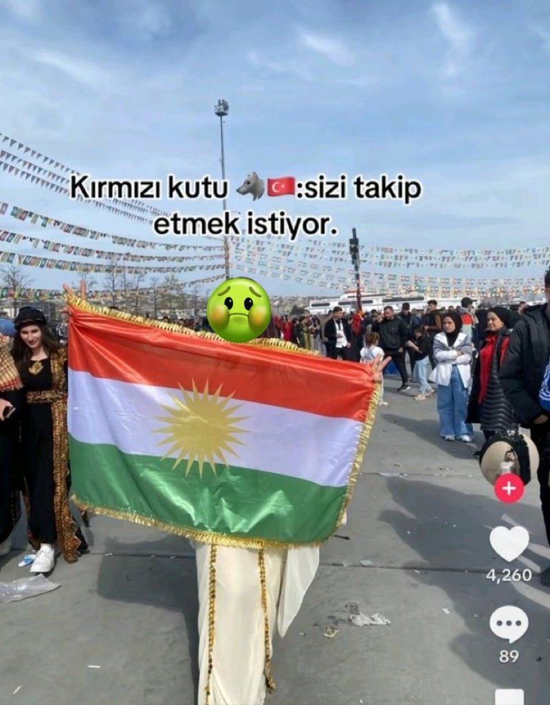 ғᴀʟᴋᴏɴ tweet media