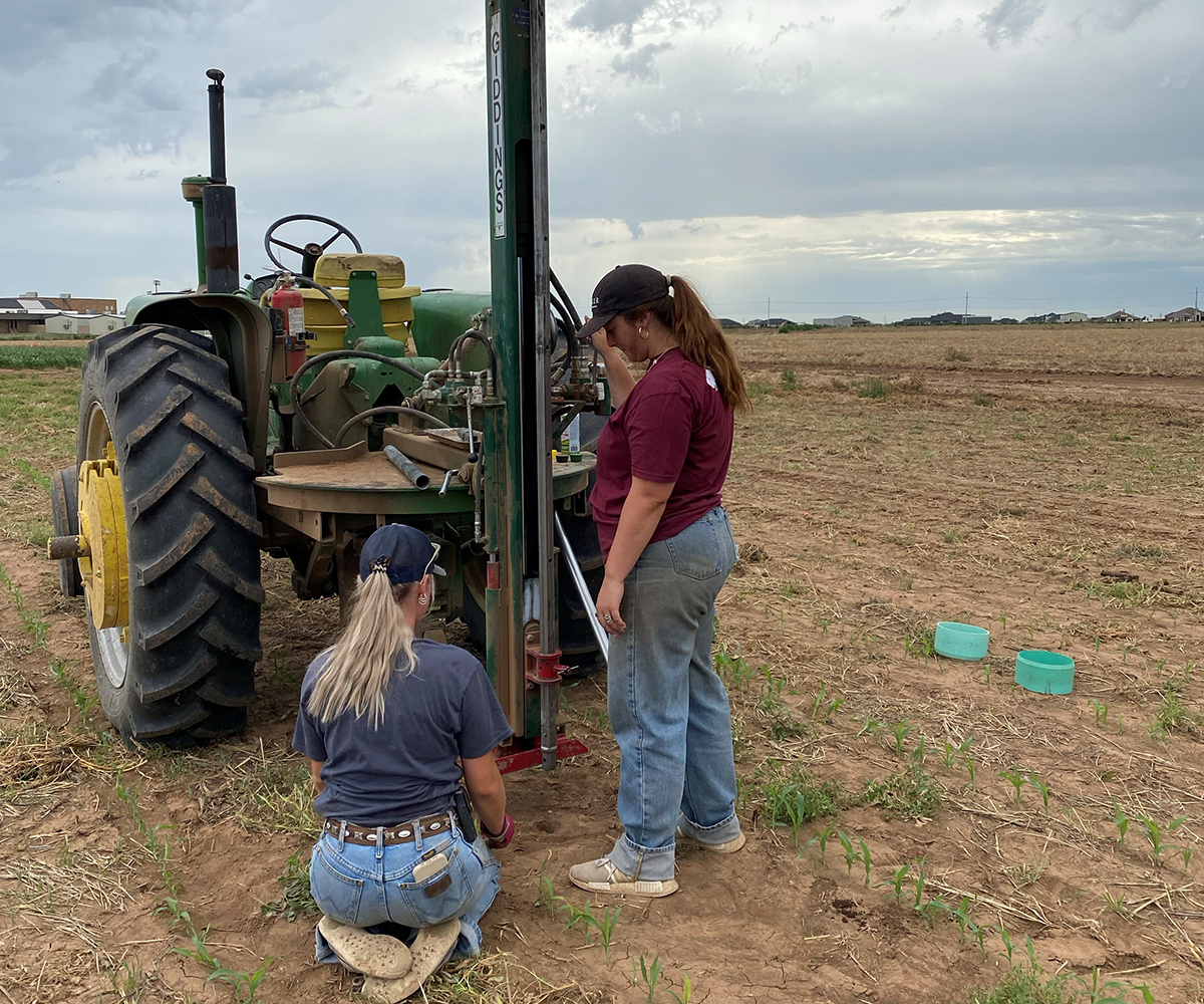 CommonGroundNow's tweet photo. Before a single seed is planted, soil samples help farmers know what their soil needs

Photo: Texas A&amp;M AgriLife Extension Service agronomy team members take deep soil samples in stubble before starting the new planting season. (Jourdan Bell/Texas A&amp;M AgriLife)

#PlantingSeason https://t.co/tg3mCyZvCb