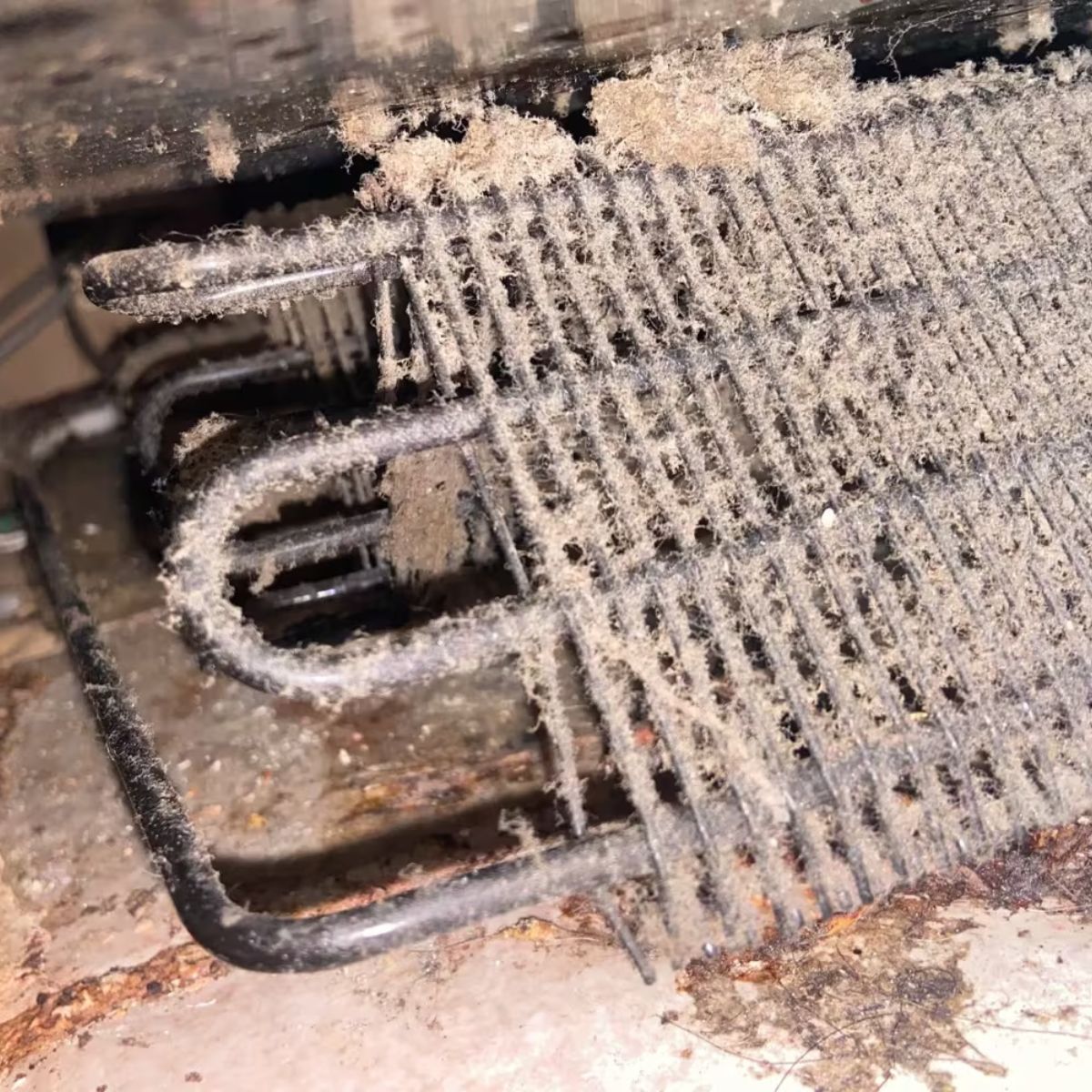 themrappliance's tweet image. Dirty coils = higher bills + shorter fridge life. 🧊

Pull it out. Vacuum the coils. 5 minutes.
Do it twice a year. Your fridge will thank you.💡

Still not cooling after? That's when we step in. 💻 mrappliance.com
#RefrigeratorRepair #MrAppliance #HomeHacks