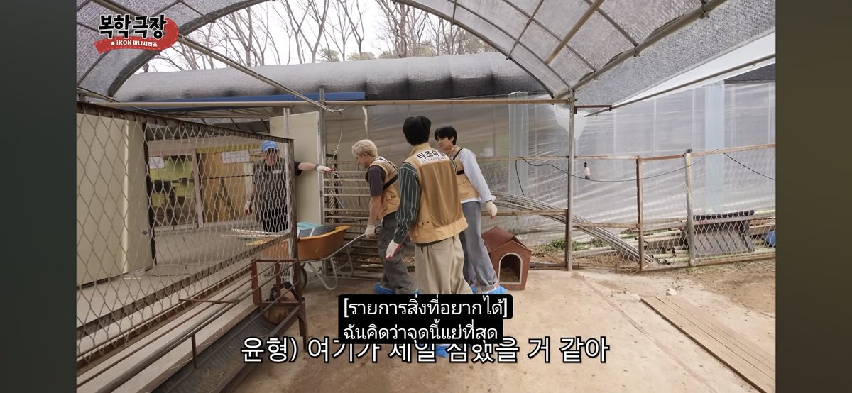 ❥↬K O O G U N Éᴷᴶᴴ ⊰∘ɞ✶ 구사모 ༘☀︎ tweet media