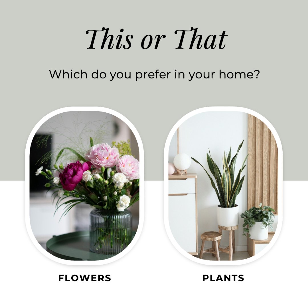 MiguelNCRealtor's tweet image. When it comes to decorating your home, which do you prefer:
🌺 Vibrant flowers to brighten and energize your rooms
🌿 Lush greenery and plants for a calming, natural vibe

Tell us—what’s your go-to for a picture-perfect indoor space?

#homedecor #interiordesign #yourrealtor,