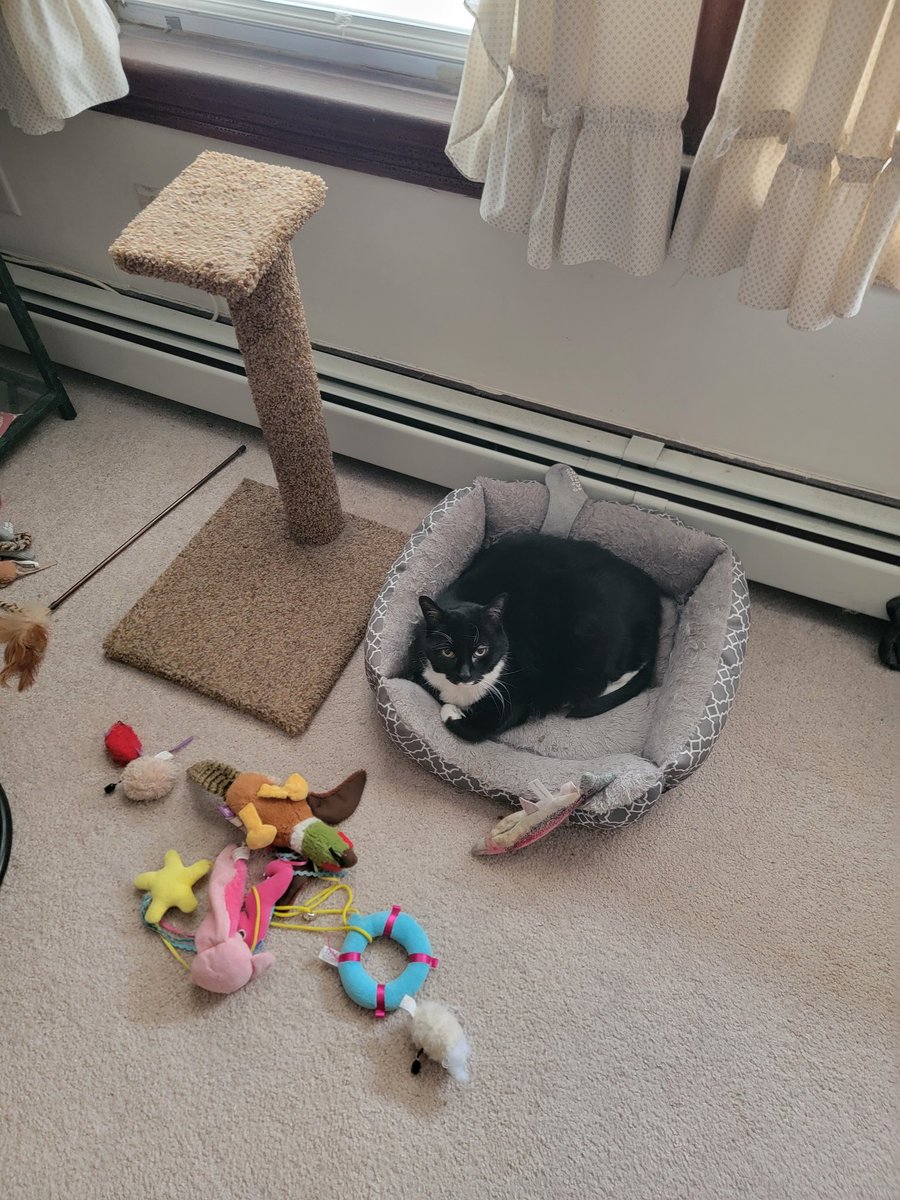 Winston Ajce tweet media