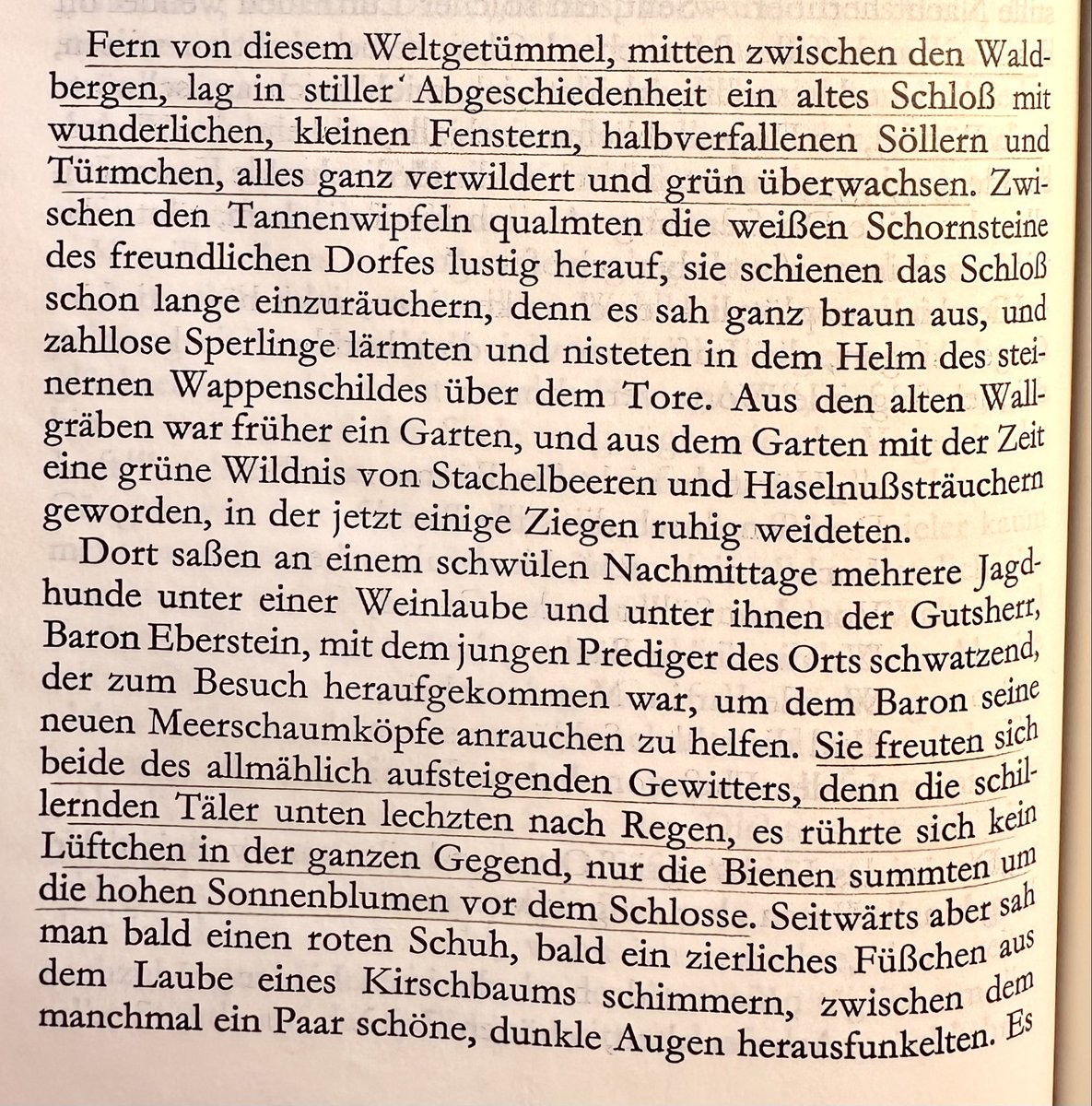 Alexander Scheidweiler tweet media