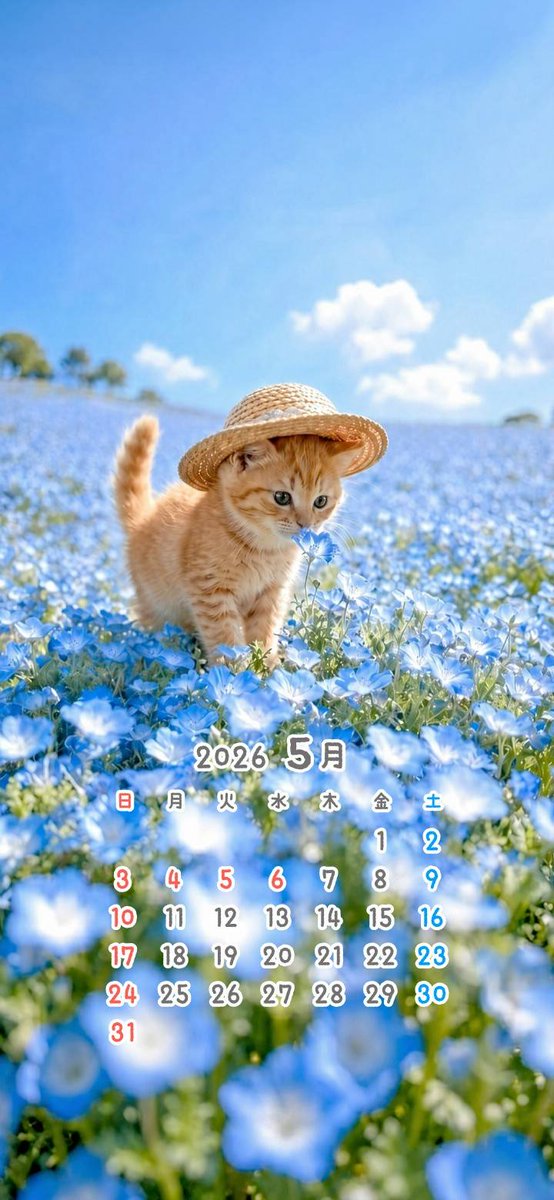 ベッカム.Ｋ🐾『初志貫徹』編ฅ^. ̫ .^ฅ tweet media