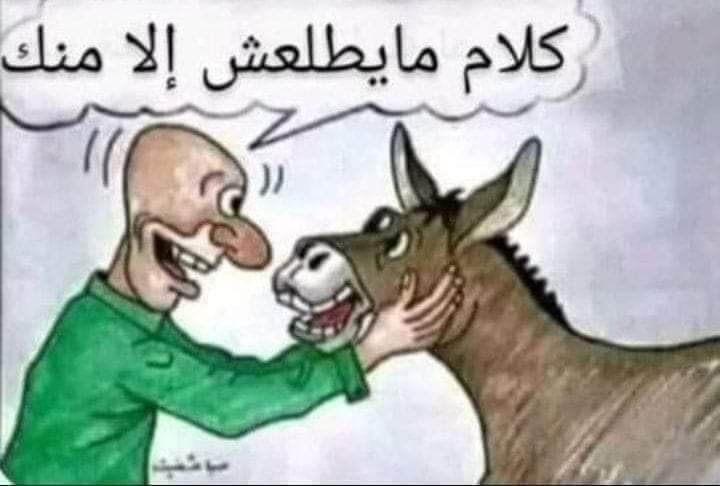 Mahmoud Mostafa tweet media