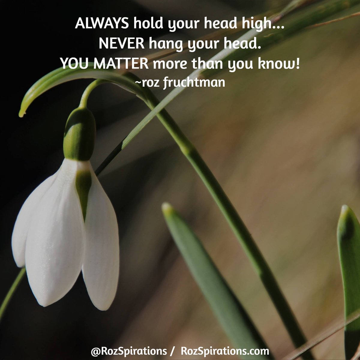 RozSpirations's tweet image. ALWAYS hold your head high...
NEVER hang your head. YOU MATTER more than you know! ~Roz Fruchtman

#RozSpirations #Kindness #Encouragement #Positivity #Inspiration #SelfCare #Quotes