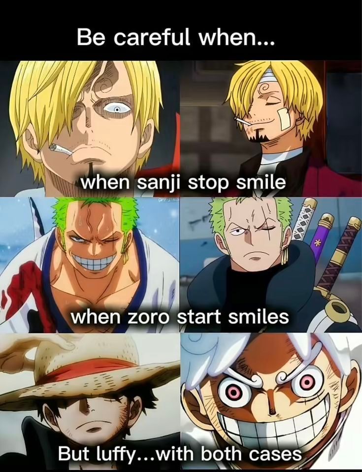 One Piece Daily (@opdaiiy) on Twitter photo 