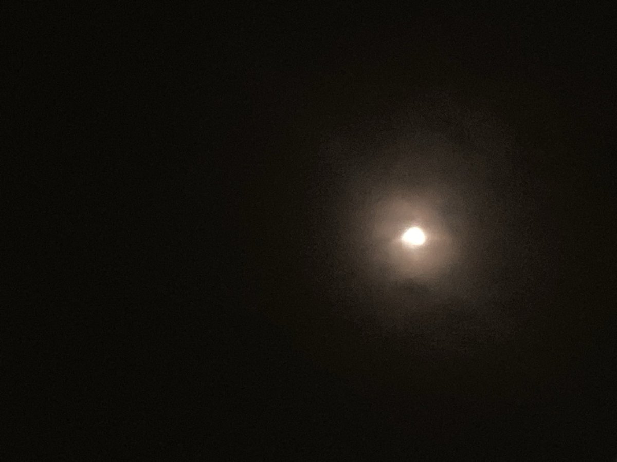 pssspol's tweet photo. Moon in dream. https://t.co/tvBD0ua2qQ