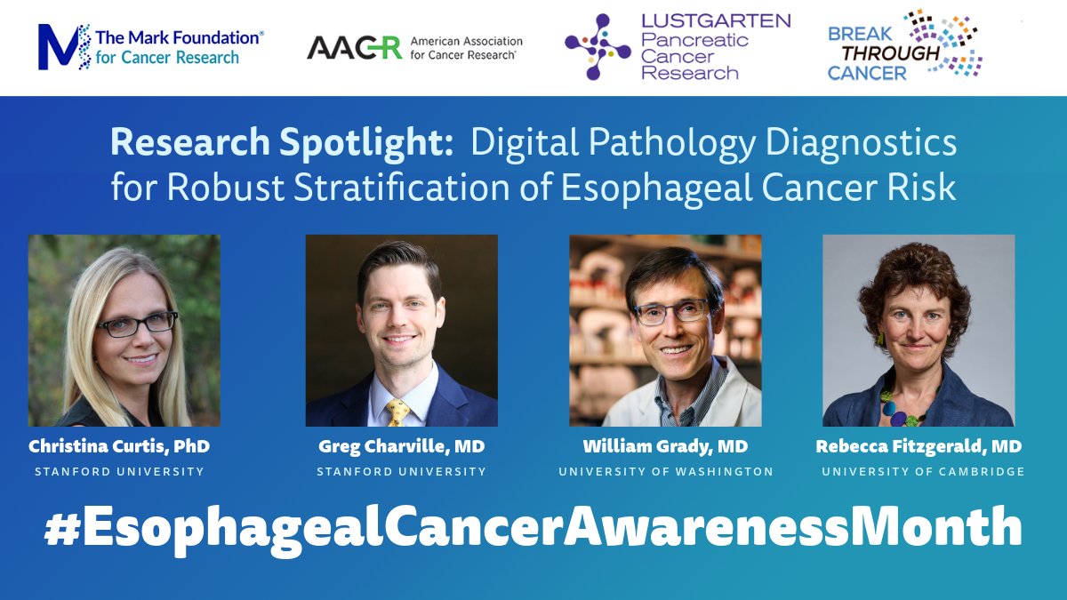 The Mark Foundation for Cancer Research tweet media