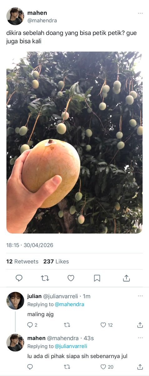 rae tweet media
