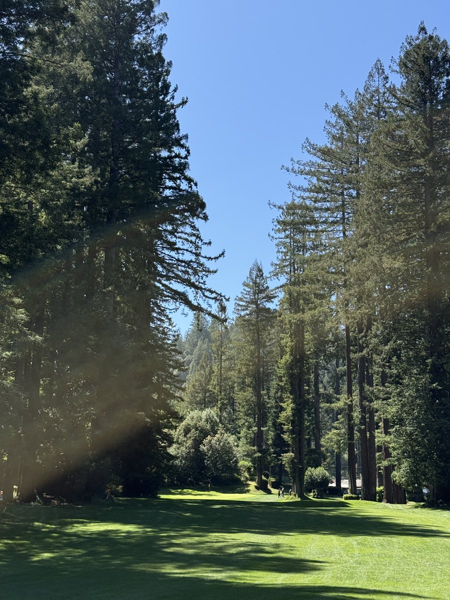 Rick Golfs tweet media