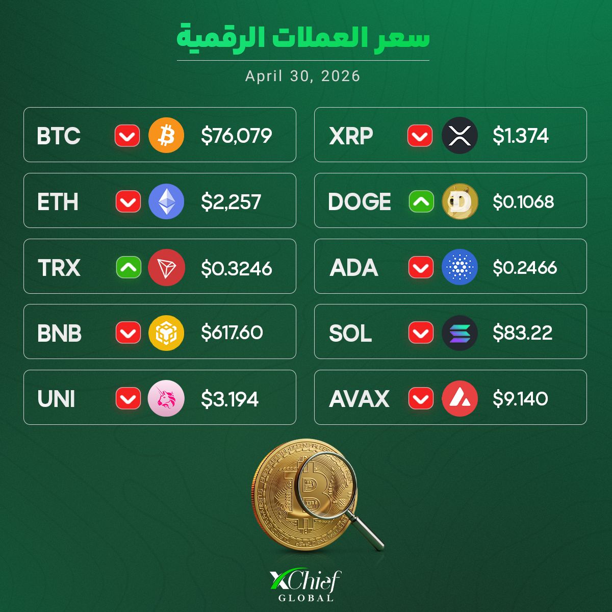 xChief | MENA tweet media
