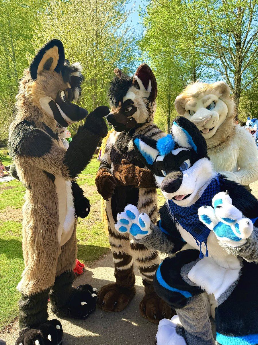 Atom the Wolf tweet media