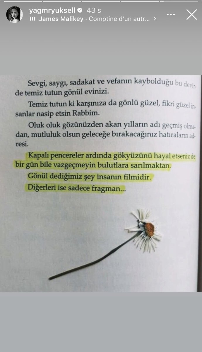 Yağmur Yüksel Brasil 🇧🇷 tweet media