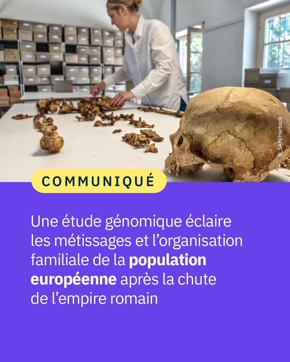 CNRS 🌍 tweet media