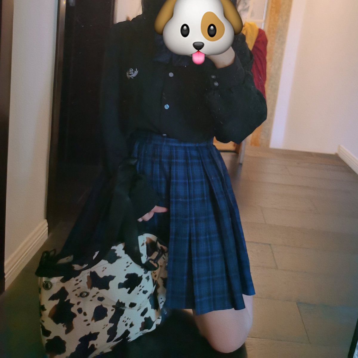 猫川天莉 tweet media
