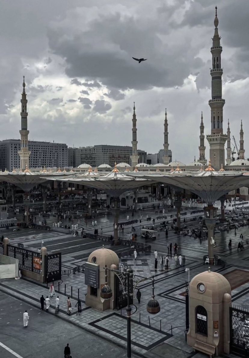 فُـ‘ـُهـُ‘ـُډ  tweet media