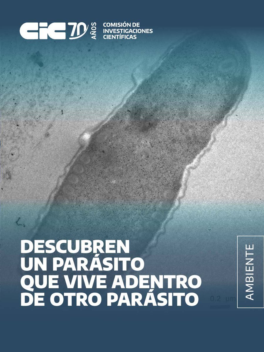Comisión de Investigaciones Científicas tweet media