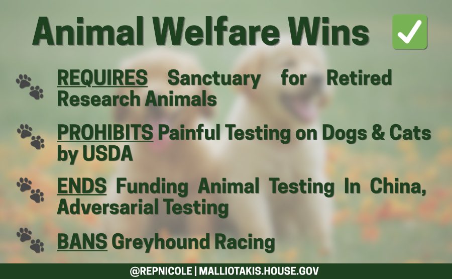 Rep. Nicole Malliotakis Office tweet media