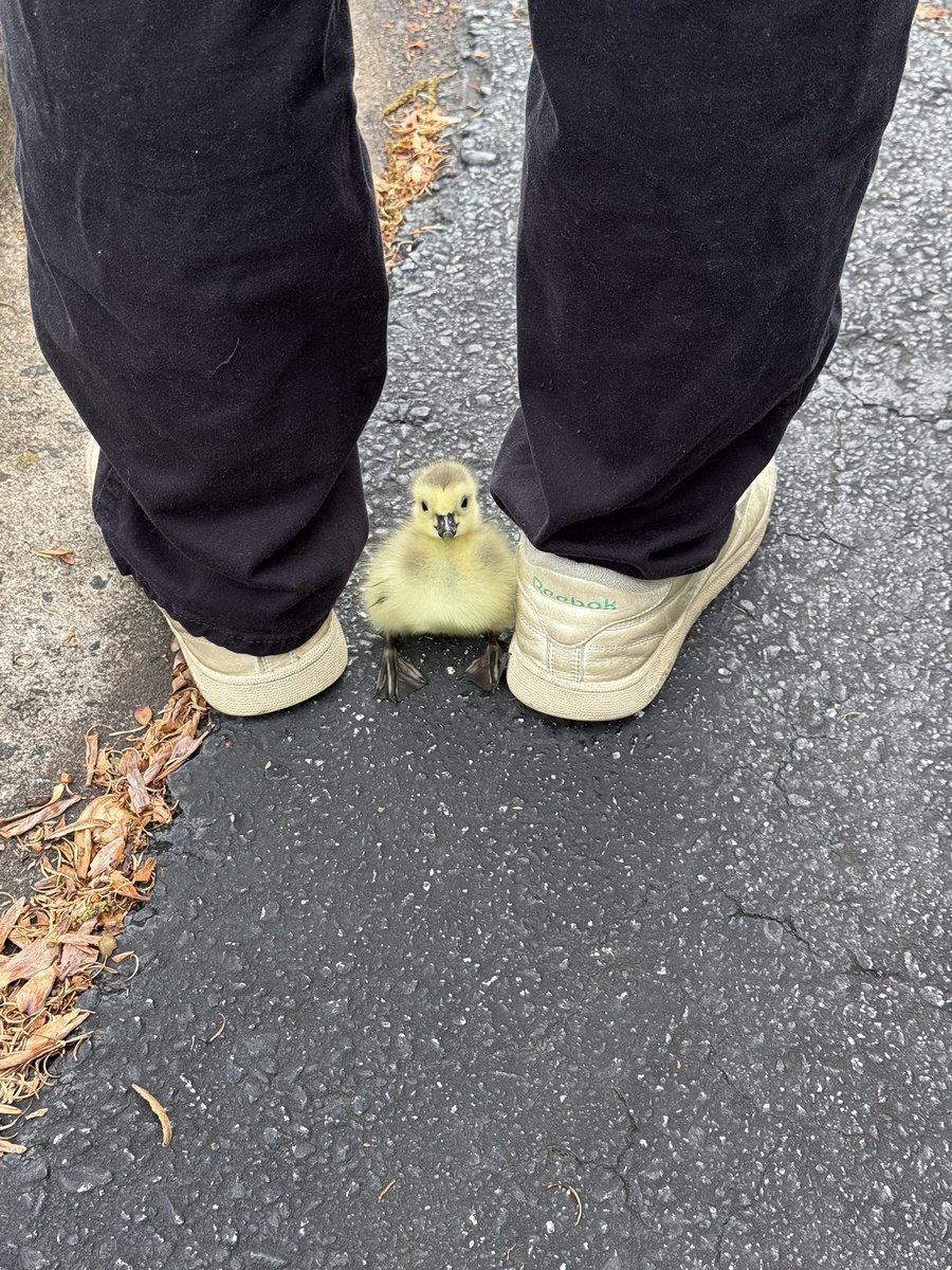 PAY ᵕ̈ tweet media