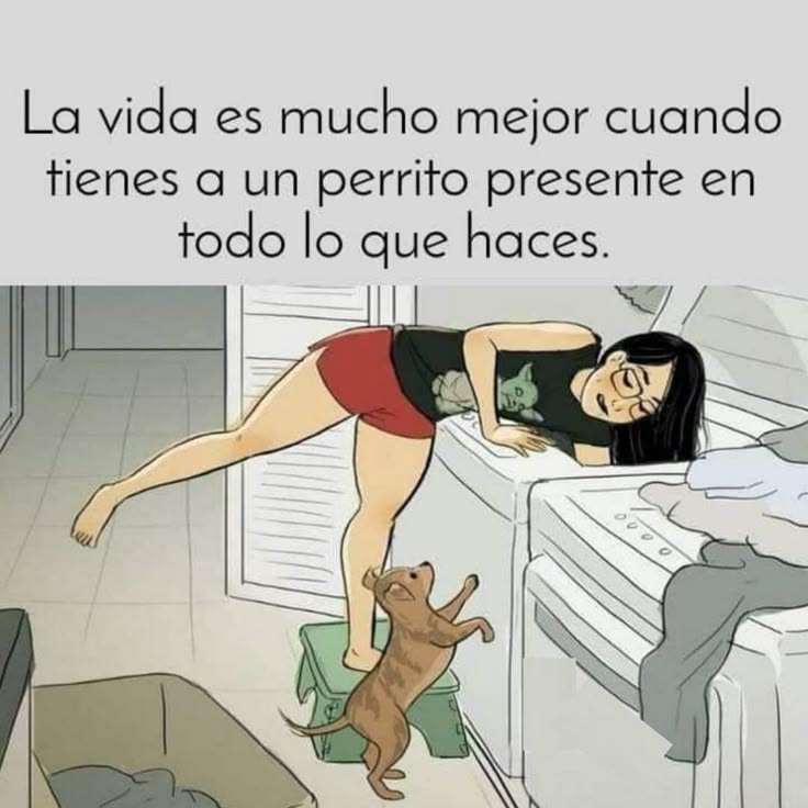 rey_latino33087's tweet photo. https://t.co/pRUtNZN9W2