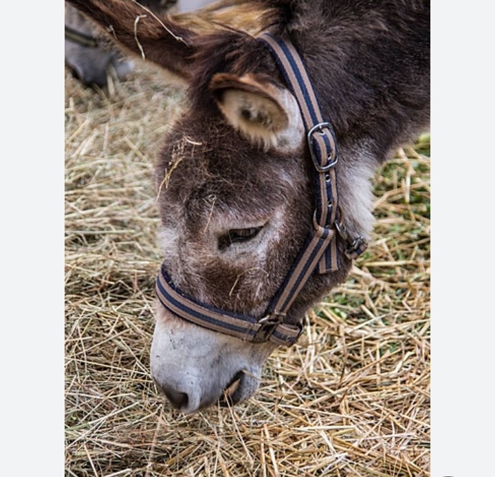 ضد اشغال tweet media