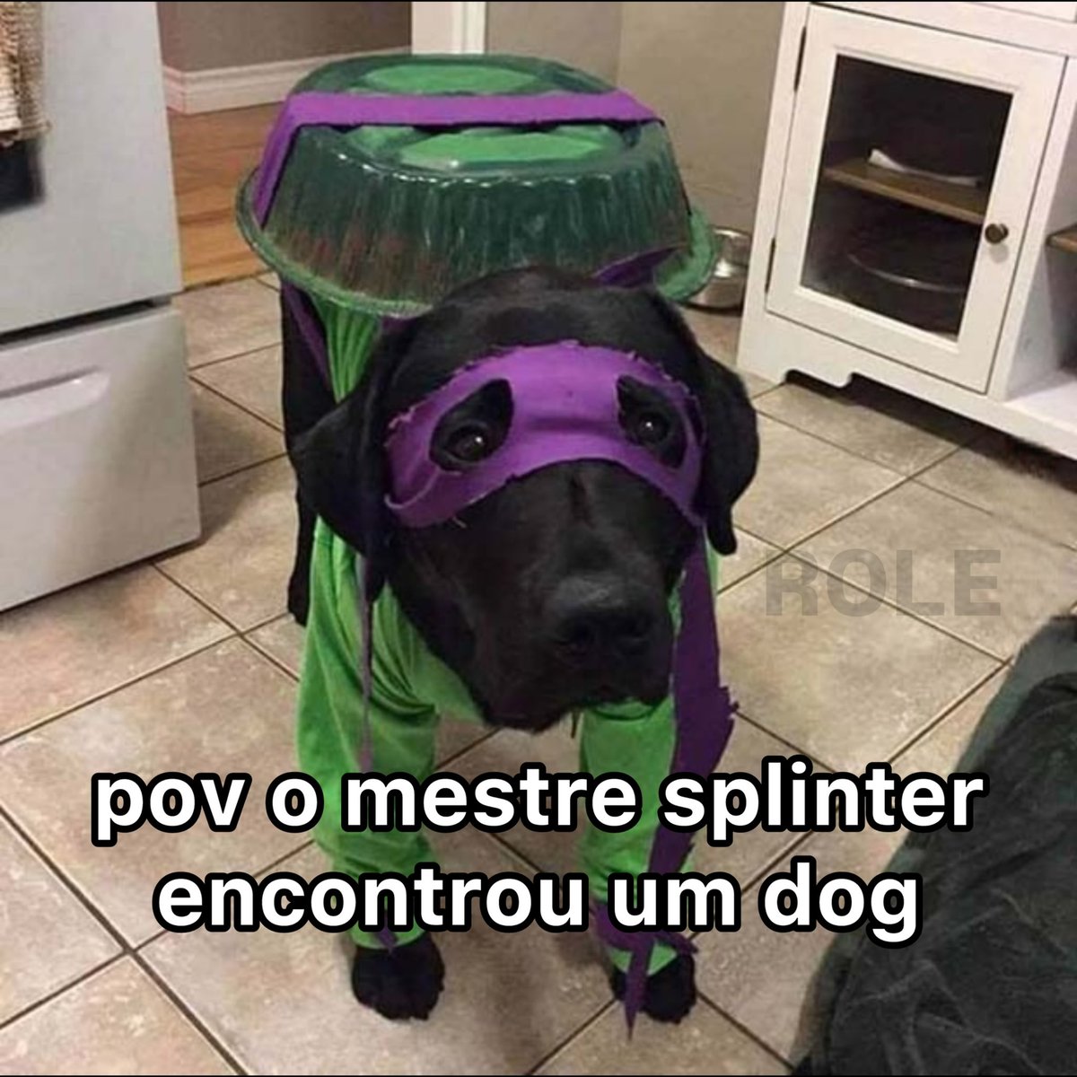 Rolê Aleatório tweet media