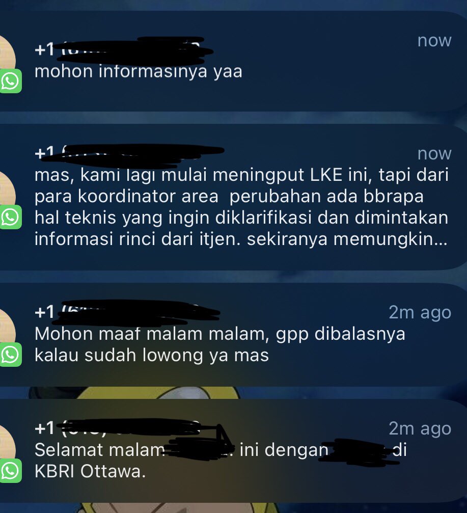 marshall. tweet media