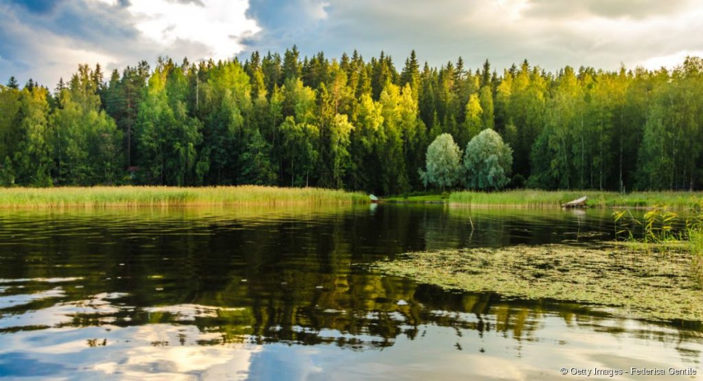 yomelijah's tweet image. #writerLift #writerslift #writers #finnish #Jumala #jeesus #Kristus #jeesuskristus #raamattu #Suomi
Kristuksen kuoleman muistoksi (Napsauta alla olevaa linkkiä päästäksesi raamatuntutkisteluartikkeliin): yomelyah.fr/meditation-on-…