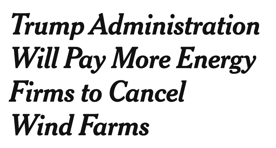 Elizabeth Warren tweet media