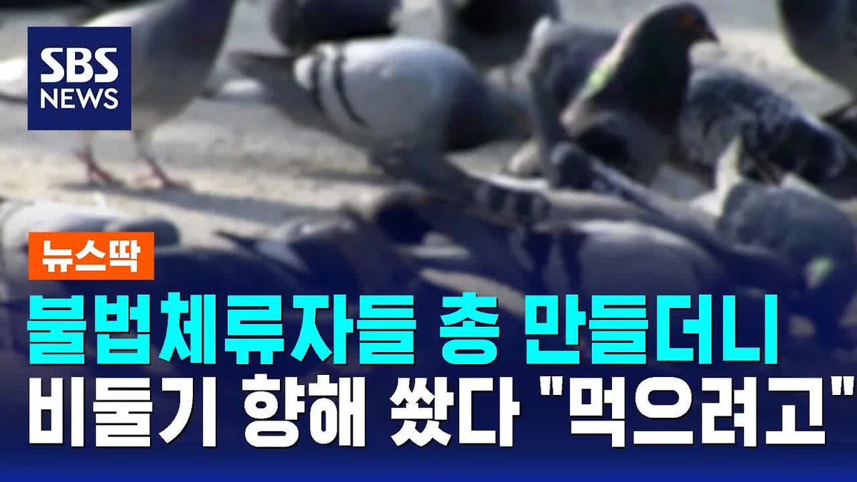 동하 tweet media