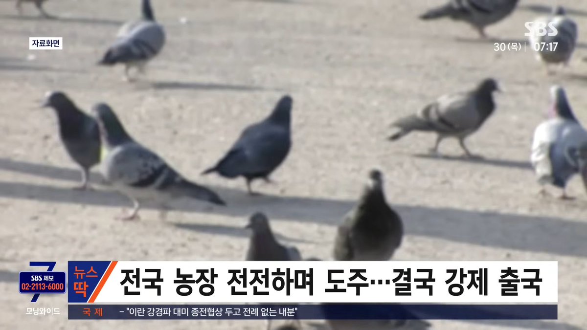 동하 tweet media
