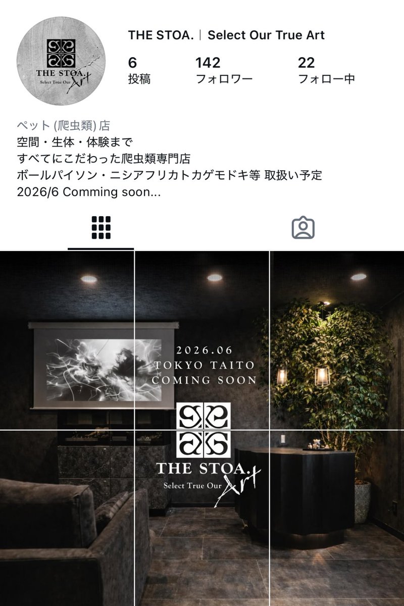 THE STOA.｜爬虫類専門店in東京 tweet media