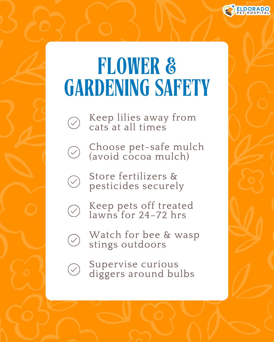 eldoradopet's tweet image. Warmer weather is on the way, and so are garden hazards for curious pets 🌷🐾 Before planting or treating your yard, take a moment to make sure your outdoor space is pet-safe. Small changes can prevent big emergencies! #PetSafety #SpringGardening
