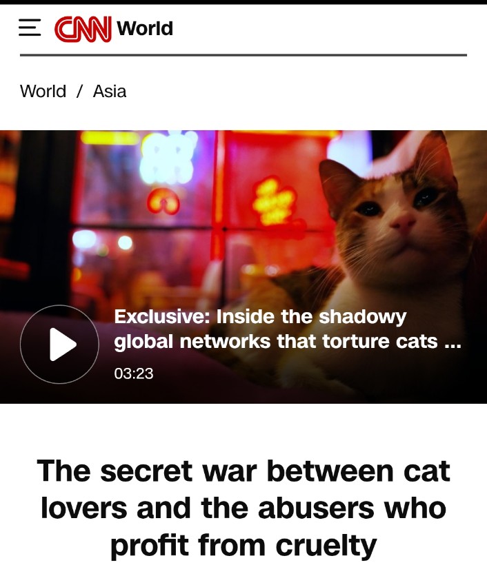 This is absolutely barbaric &amp; heinous acts against cats in China 🇨🇳for mere entertainment. Meta has become a hub where b@sat@rds can post videos of extreme torture without hesitation. Promoting such monsters like celebrities will encourage making 🤑 from animal cruelty online.