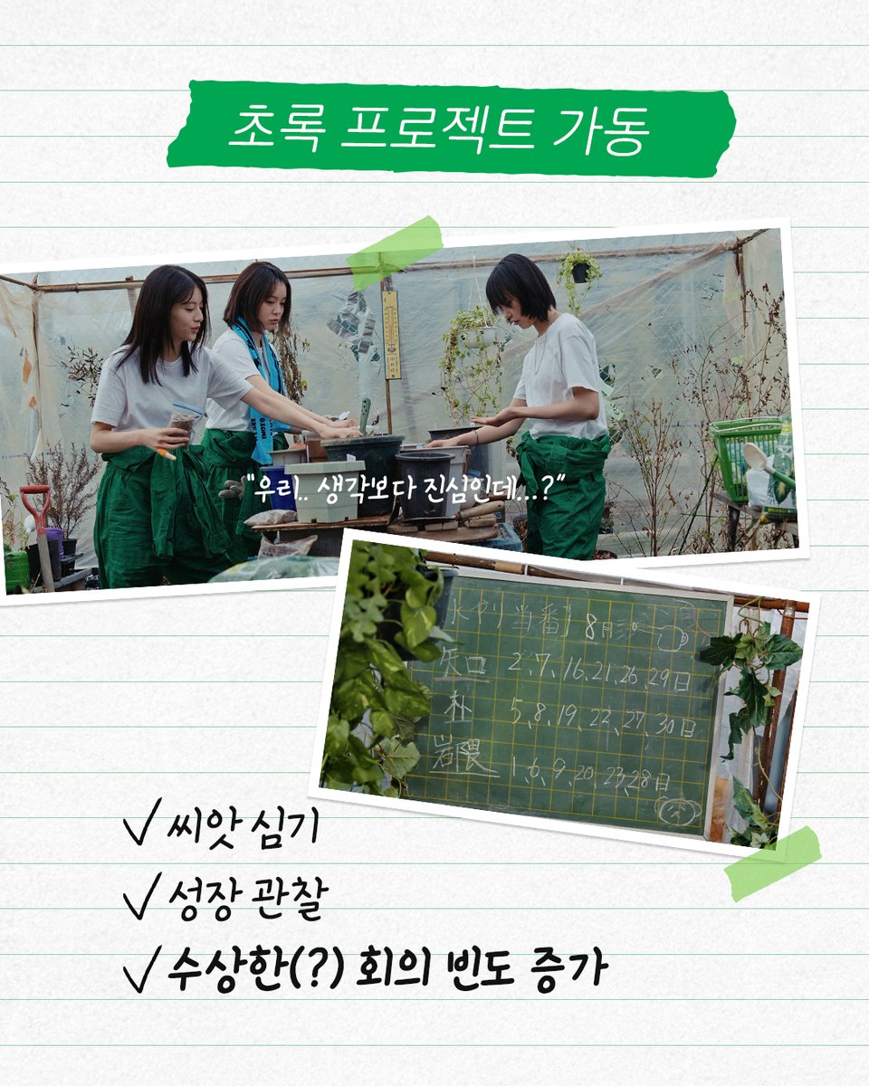 얼리버드픽쳐스 tweet media