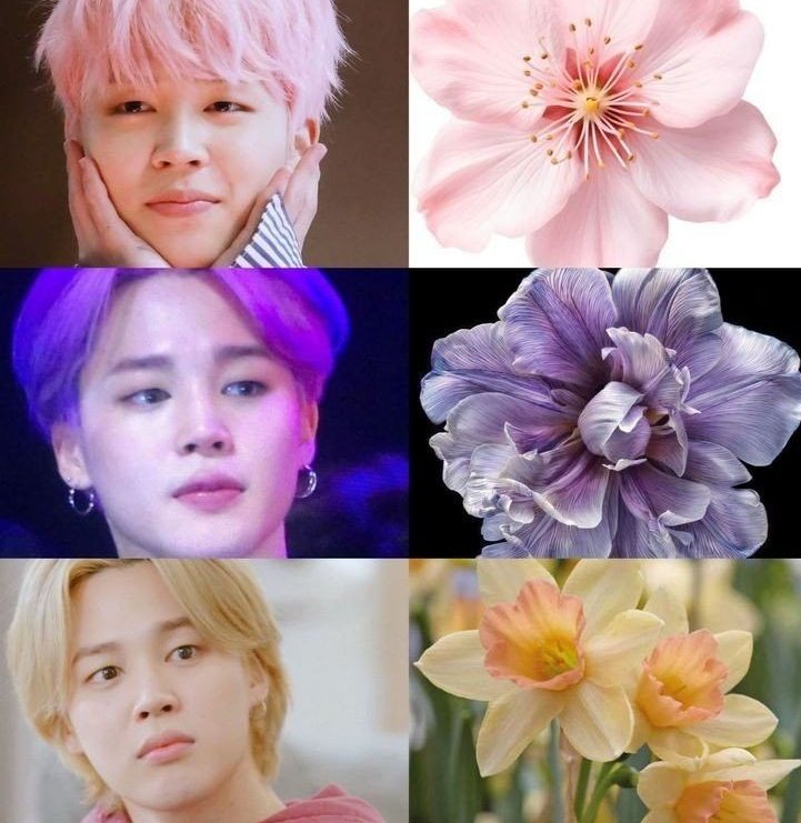 🍑FACE 🪞위너스 ᴹᵁˢᴱ ᴍᴜSᴇ ​ 𝐉𝐢𝒎𝐢𝐧¹³Who tweet media