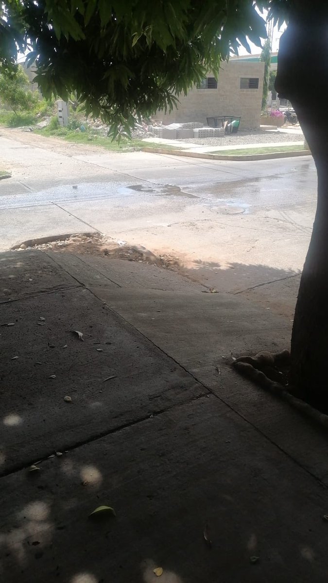 dairo_villa's tweet photo. @EmduparESP en la urbanización altos de Comfacesar tenemos problemas con desbordamientos de aguas negras generando problemas de salud pública a la comunidad, agradecemos pronta solución @MaravillaSt1057 @AlcaldiaVpar @AltosBarrio https://t.co/y6XldmTQZb