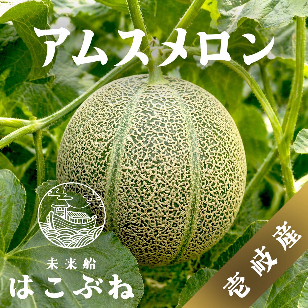 壱岐産アムスメロン予約販売開始！！

6月の収穫期に発送致します🍈

初めてのメロン栽培にハラハラドキドキしながらも愛情込めて育てました。

食べて頂けたら幸いです👏🏽
aceofhearts.base.shop